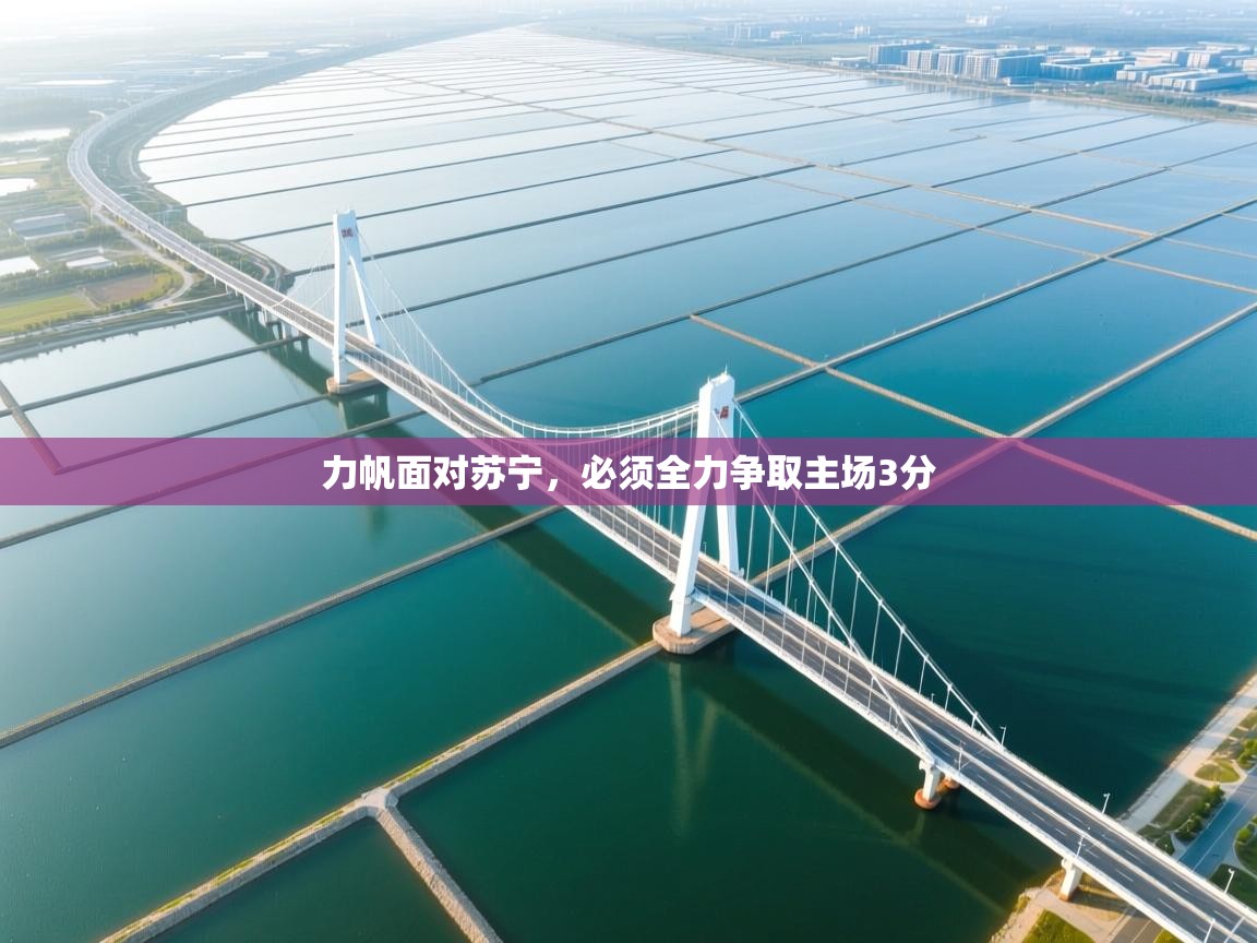 力帆面对苏宁，必须全力争取主场3分  第2张