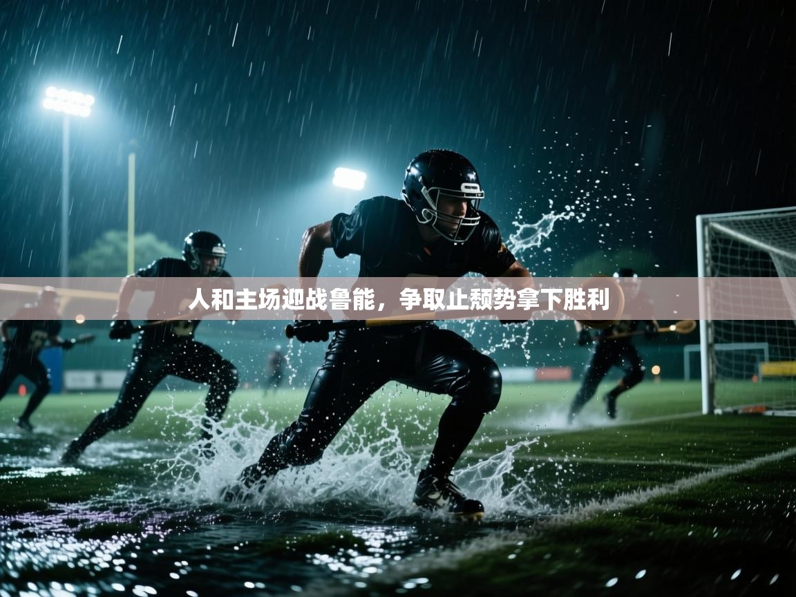 人和主场迎战鲁能,争取止颓势拿下胜利 第2张